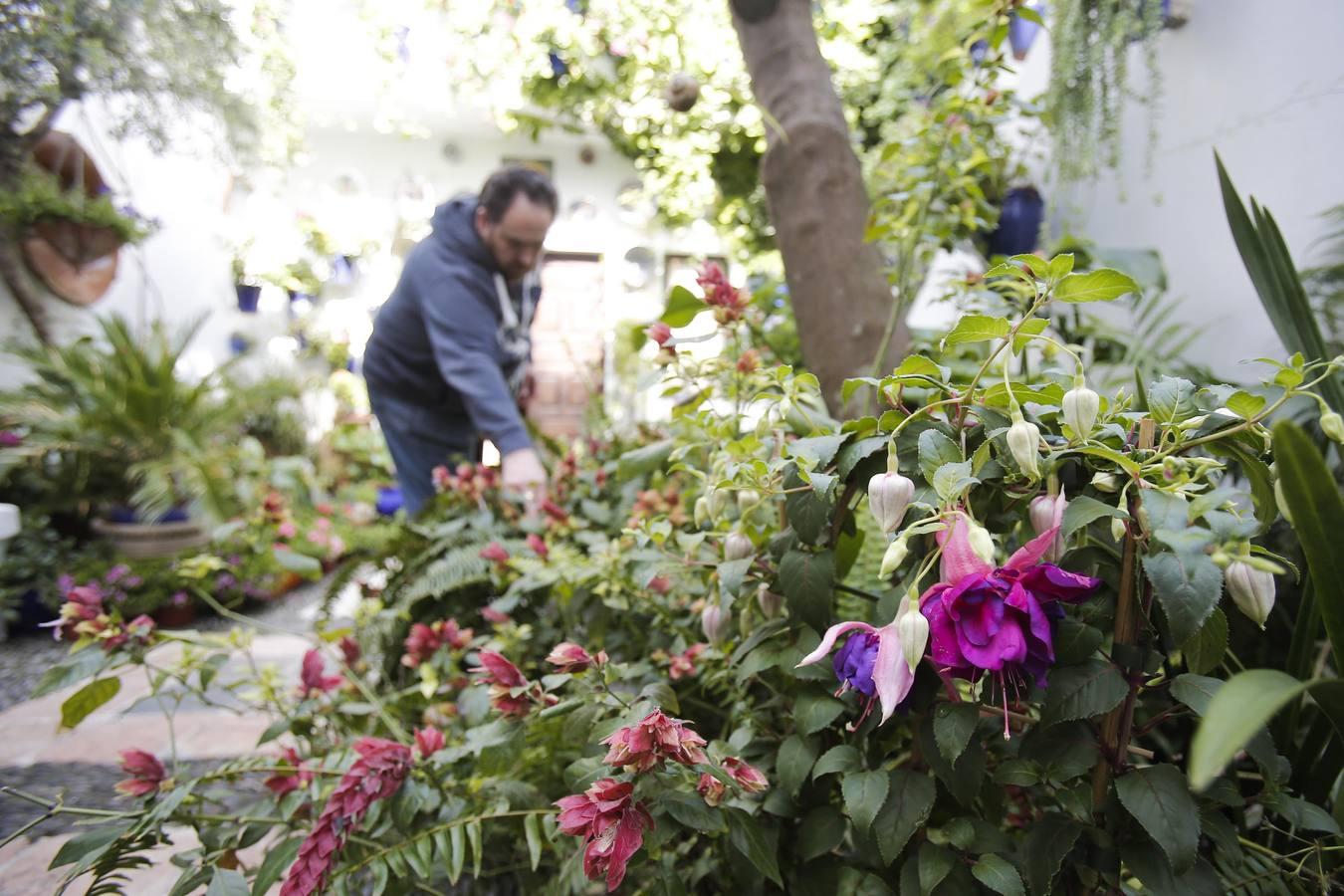 Los Patios de Córdoba ultiman detalles, en imágenes