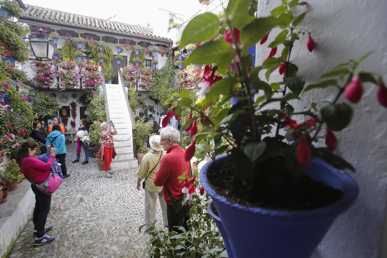 Los Patios de Córdoba ultiman detalles, en imágenes