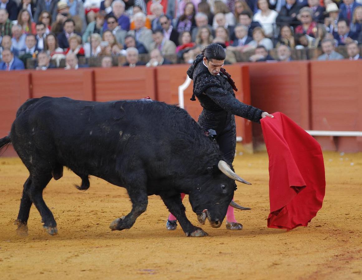 Alejandro Talavante