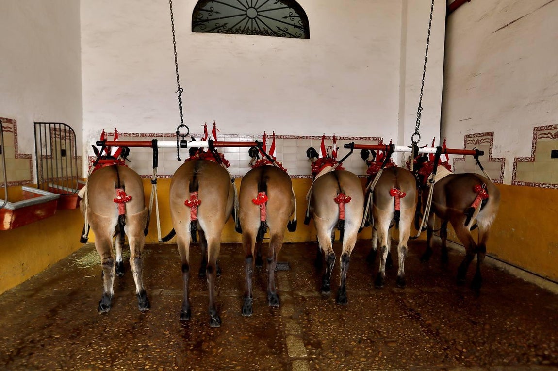 Corrida de toros del jueves del ciclo continuado de abono de la Feria de Abril