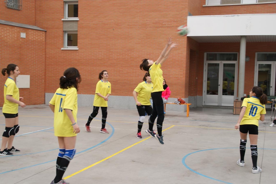 Las mejores imágenes del partido de voleibol infantil femenino entre Nuestra Señora del Carmen y Decroly