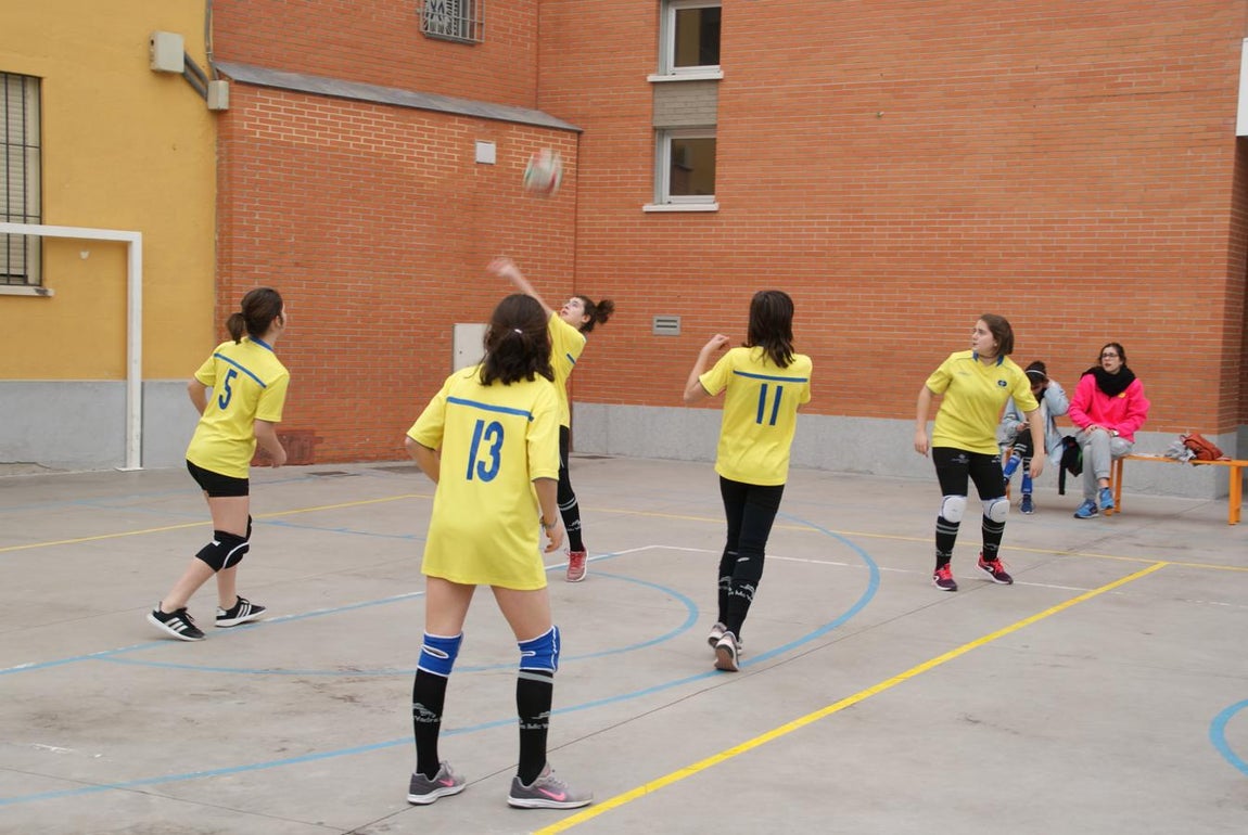 Las mejores imágenes del partido de voleibol infantil femenino entre Nuestra Señora del Carmen y Decroly
