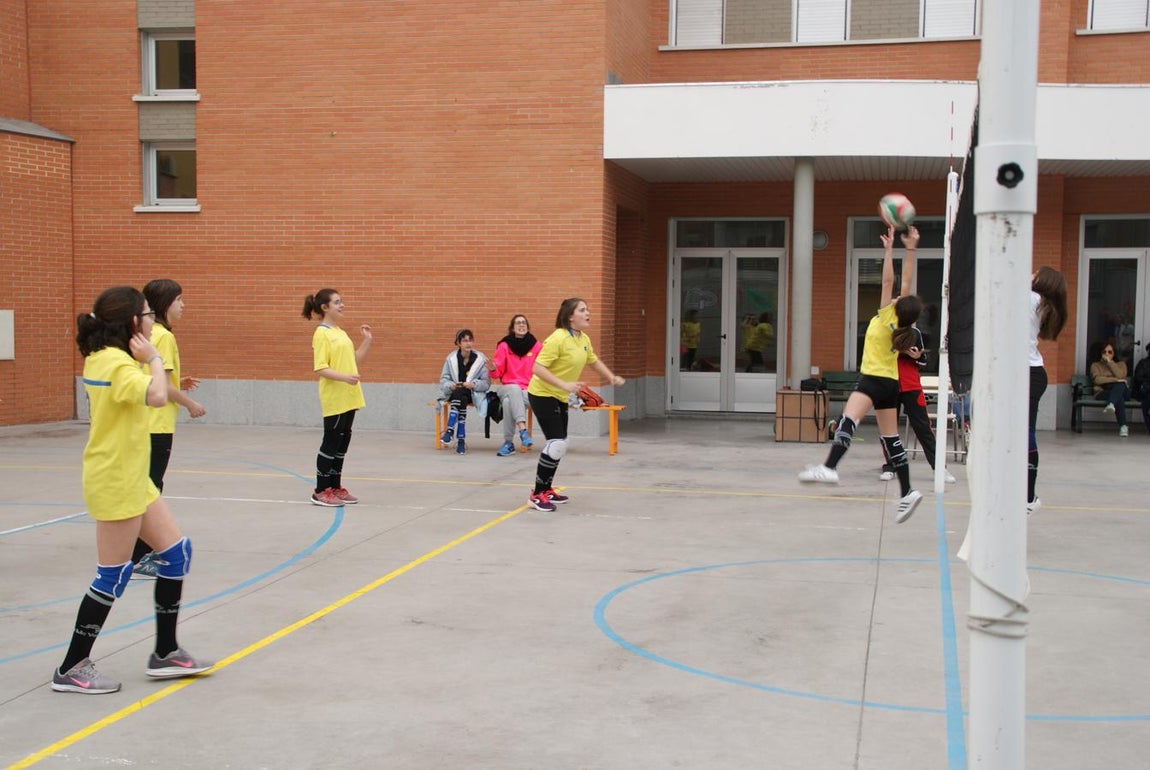 Las mejores imágenes del partido de voleibol infantil femenino entre Nuestra Señora del Carmen y Decroly
