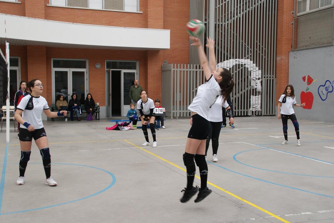 Las mejores imágenes del partido de voleibol infantil femenino entre Nuestra Señora del Carmen y Decroly