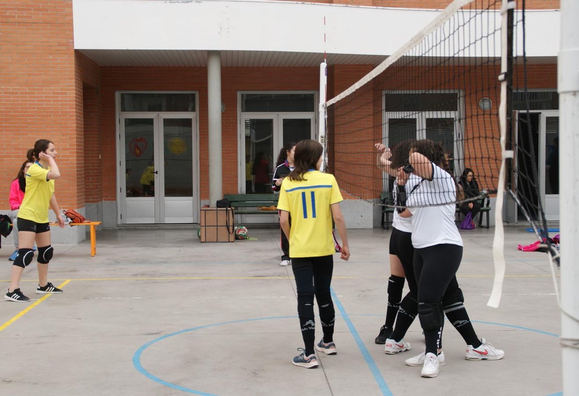 Las mejores imágenes del partido de voleibol infantil femenino entre Nuestra Señora del Carmen y Decroly
