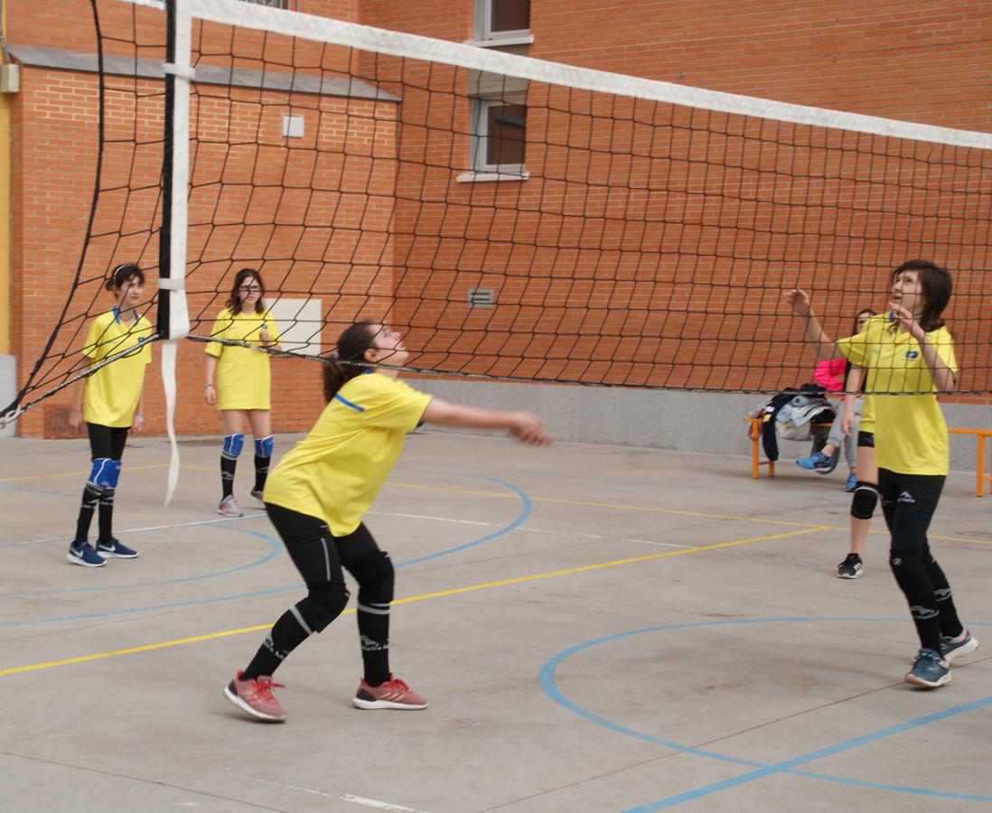 Las mejores imágenes del partido de voleibol infantil femenino entre Nuestra Señora del Carmen y Decroly