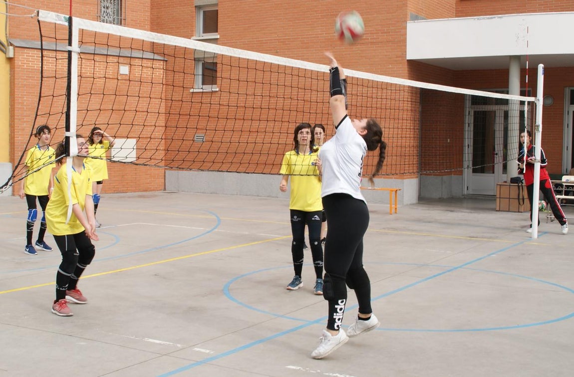 Las mejores imágenes del partido de voleibol infantil femenino entre Nuestra Señora del Carmen y Decroly