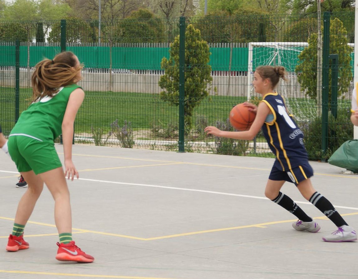 Las mejores imágenes del partido de baloncesto infantil femenino entre San Juan Evangelista y BVM Irlandesas