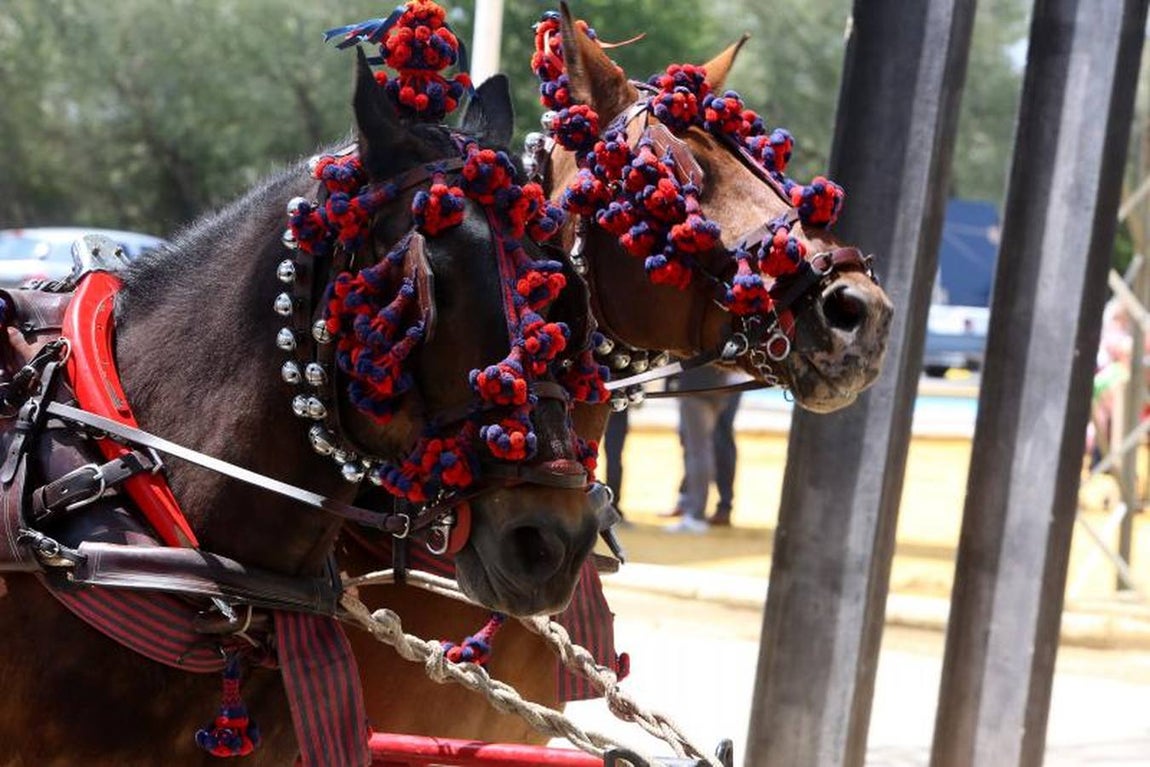 Jueves en la Feria de El Puerto