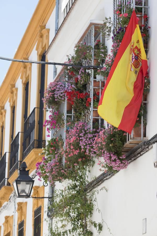 La belleza de las rejas y balcones de Córdoba en mayo, en imágenes