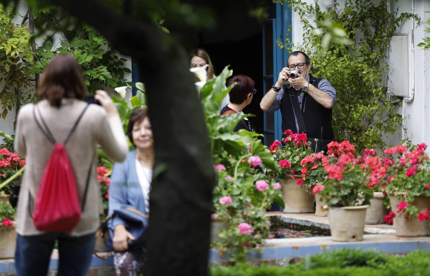 Los patios del Palacio de Viana de Córdoba, en imágenes