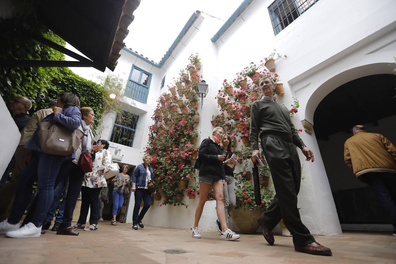 Los patios del Palacio de Viana de Córdoba, en imágenes