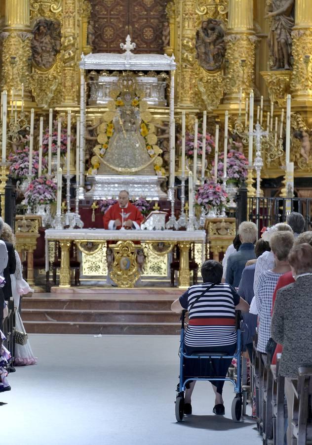 En imágenes: la aldea se prepara para la romería de el Rocío 2018