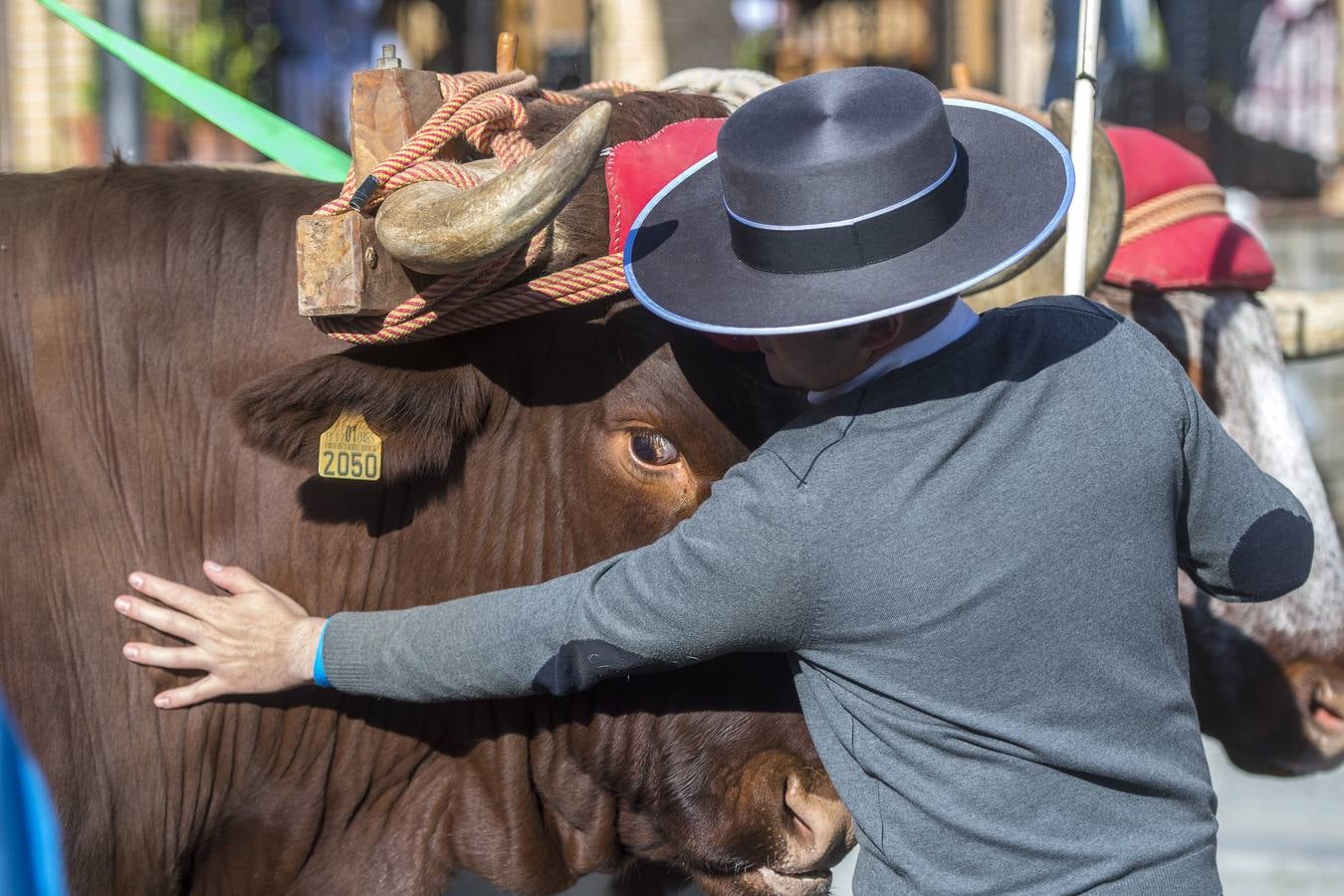 Imágenes del Rocío 2018 en Sevilla: salida de la hermandad de Gines