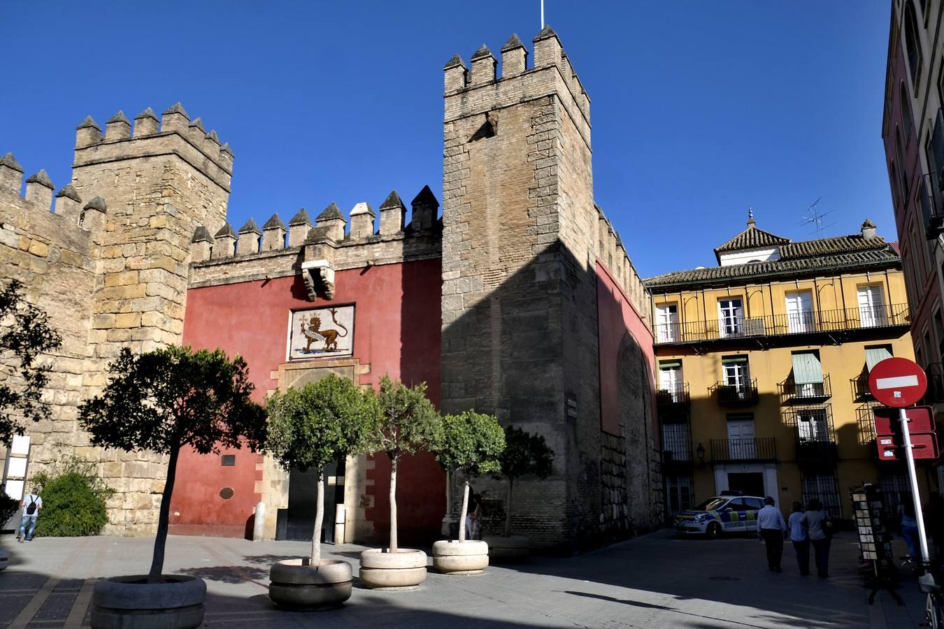 Las imágenes que ha dejado la caída del árbol en el Real Alcázar