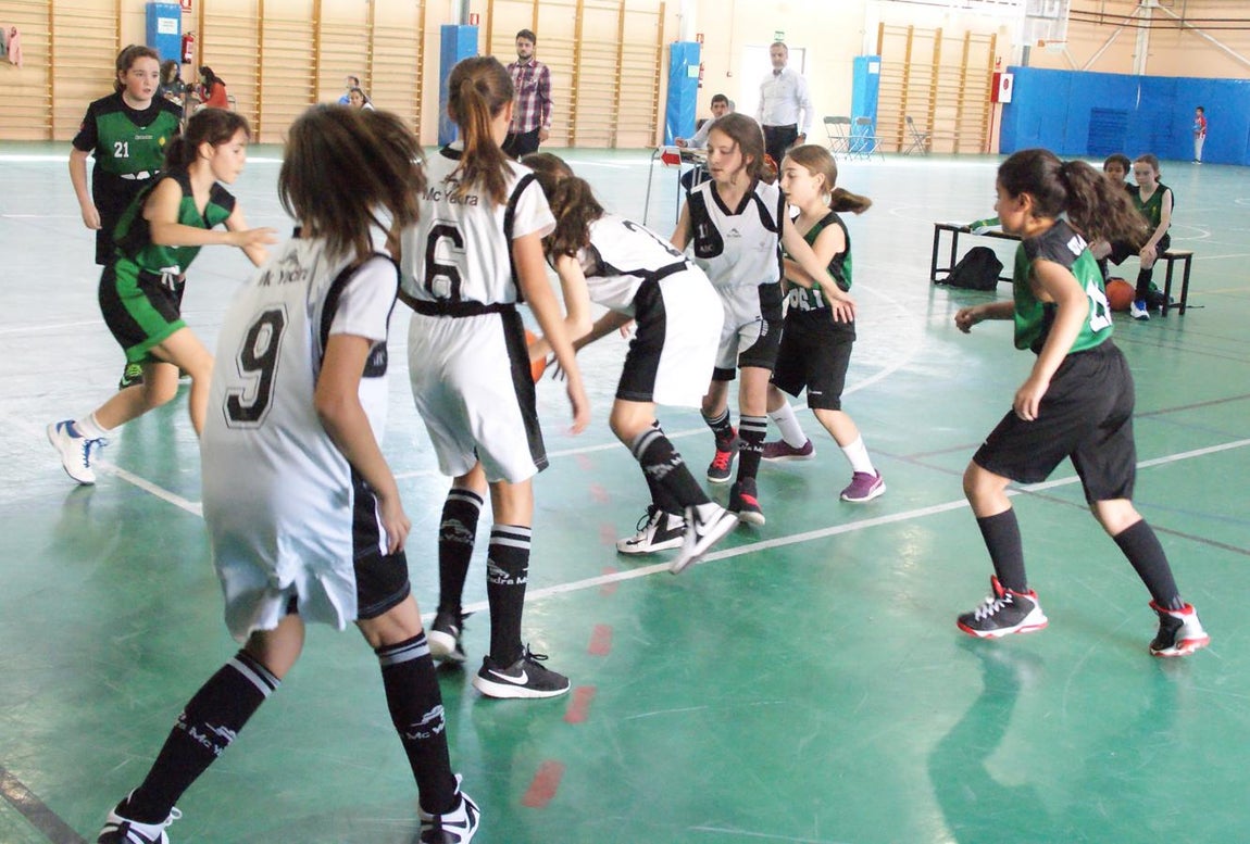 Las mejores imágenes del partido de baloncesto alevín femenino entre Valdefuentes y Patrocinio San José