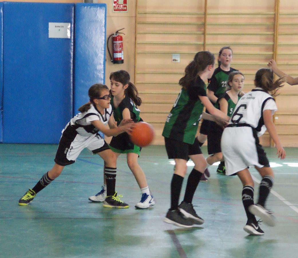 Las mejores imágenes del partido de baloncesto alevín femenino entre Valdefuentes y Patrocinio San José