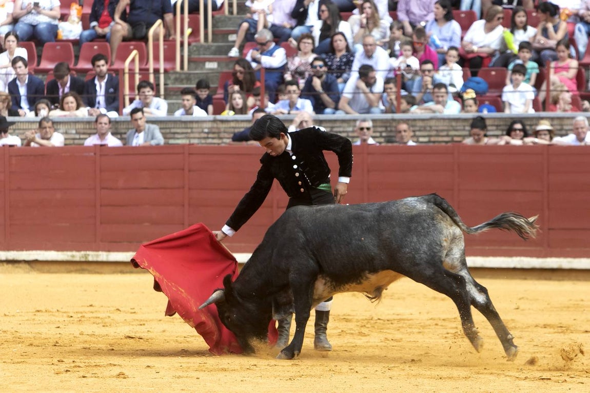 La Becerrada por la mujer cordobesa, en imágenes