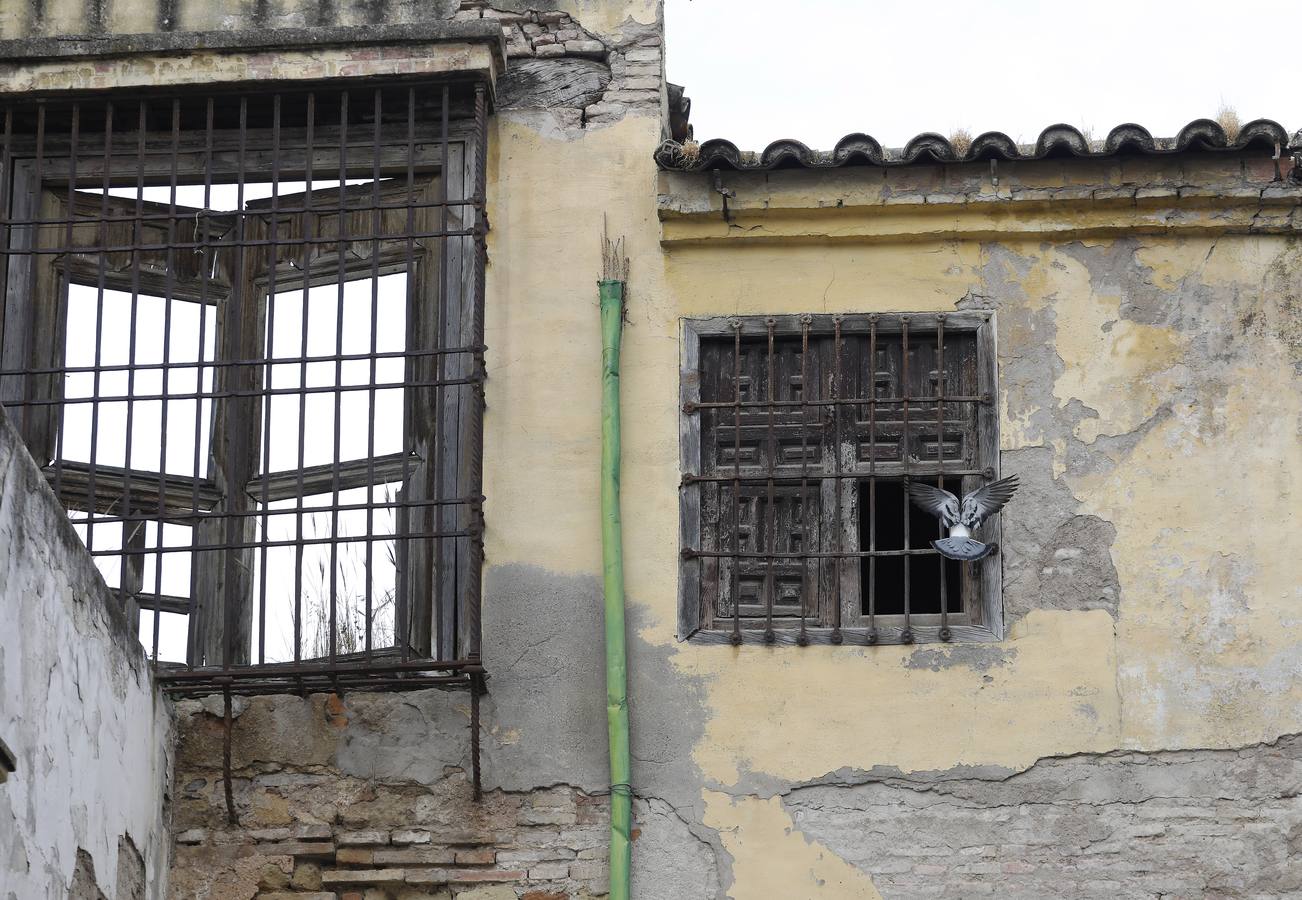 En imágenes, el deterioro de rincones históricos en el Casco de Córdoba