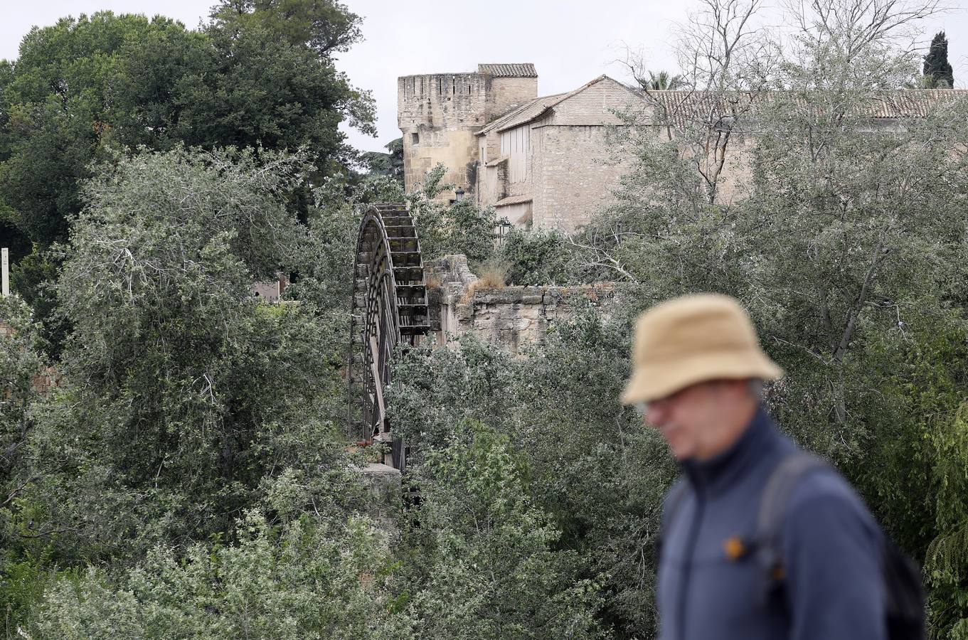 En imágenes, el deterioro de rincones históricos en el Casco de Córdoba