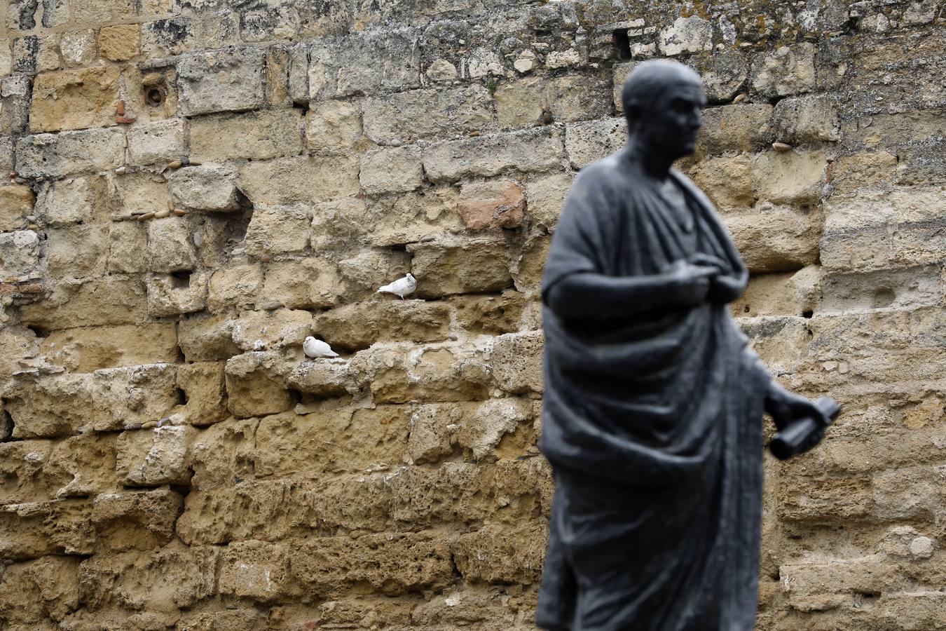 En imágenes, el deterioro de rincones históricos en el Casco de Córdoba