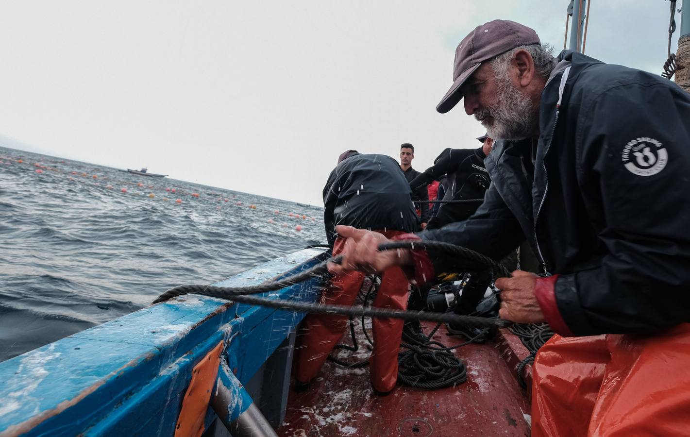 «La levantá» de atunes rojos, en imágenes