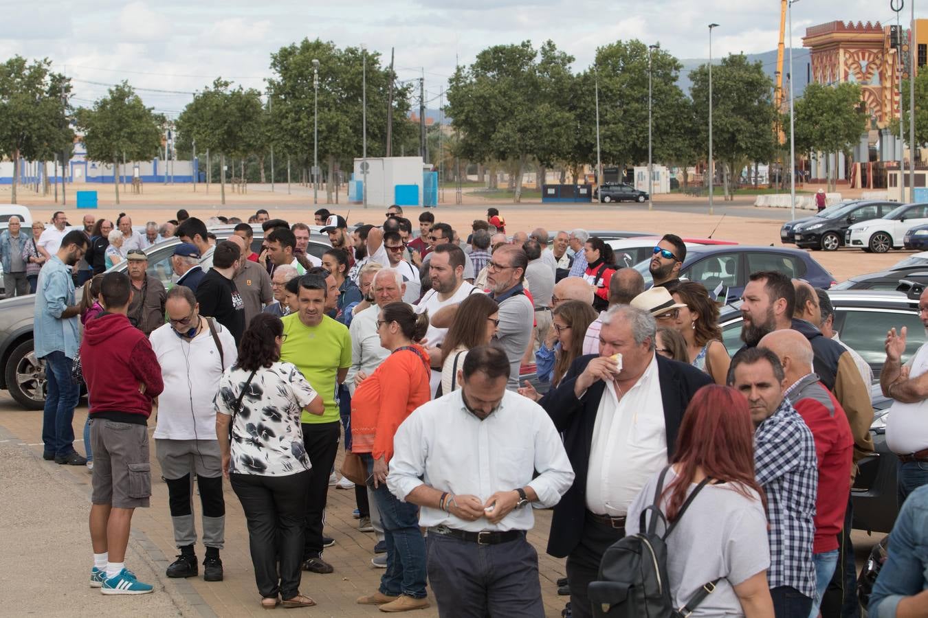 Regalan 5.000 kilos de patata nueva en Sevilla