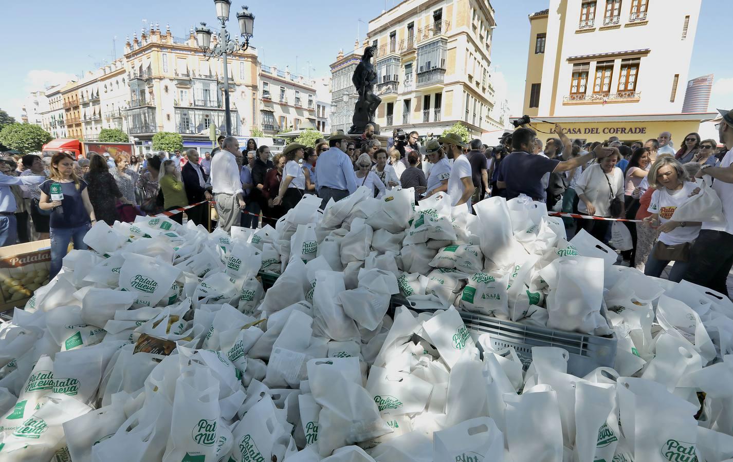 Regalan 5.000 kilos de patata nueva en Sevilla