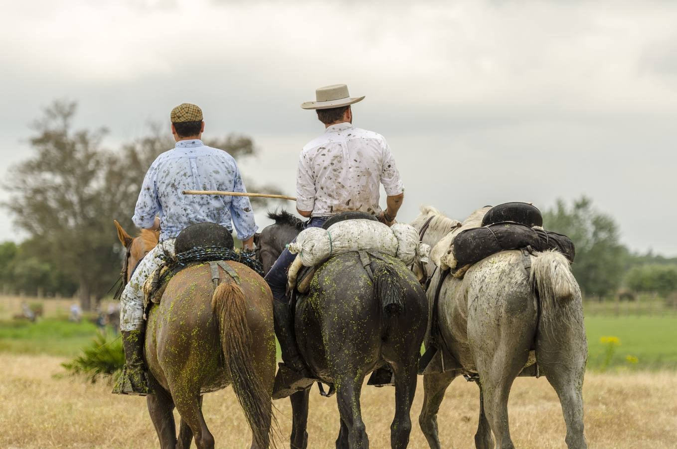 Comienza el rito de la Saca de las Yeguas en Doñana