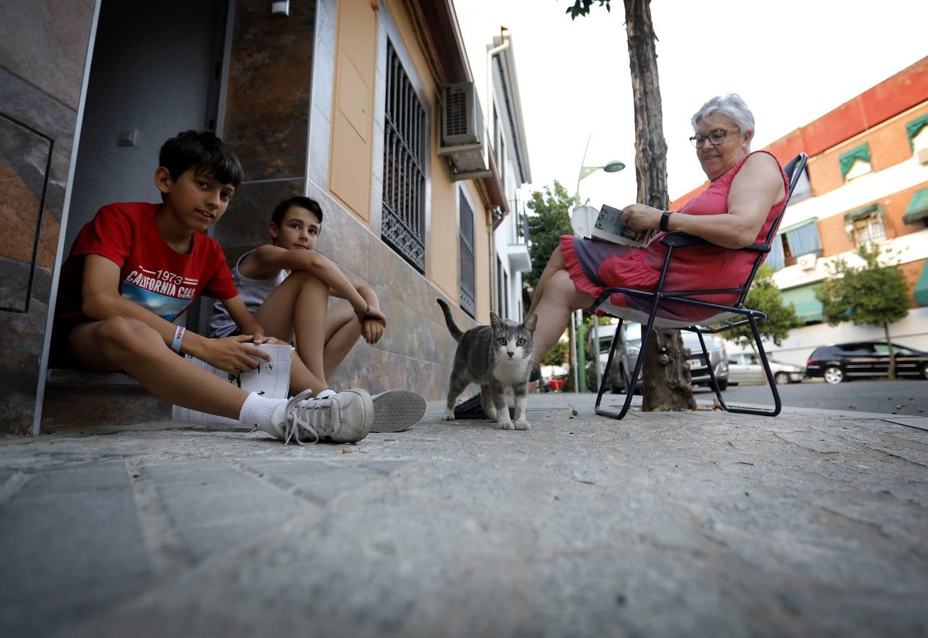 En imágenes, el popular barrio de Cañero en Córdoba combate el calor en la calle