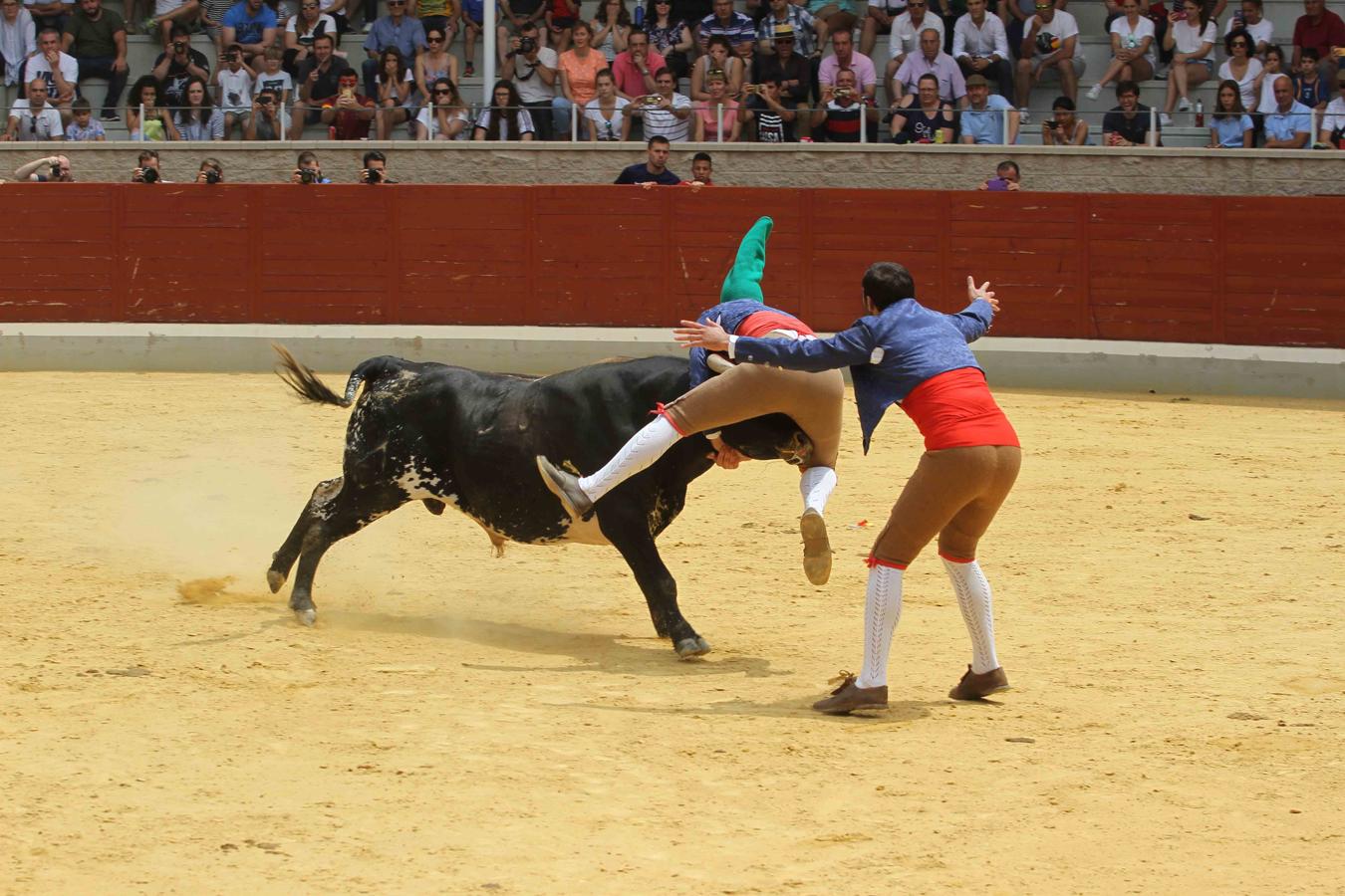 Villaseca de la Sagra se vuelca con el Día de la Tauromaquia