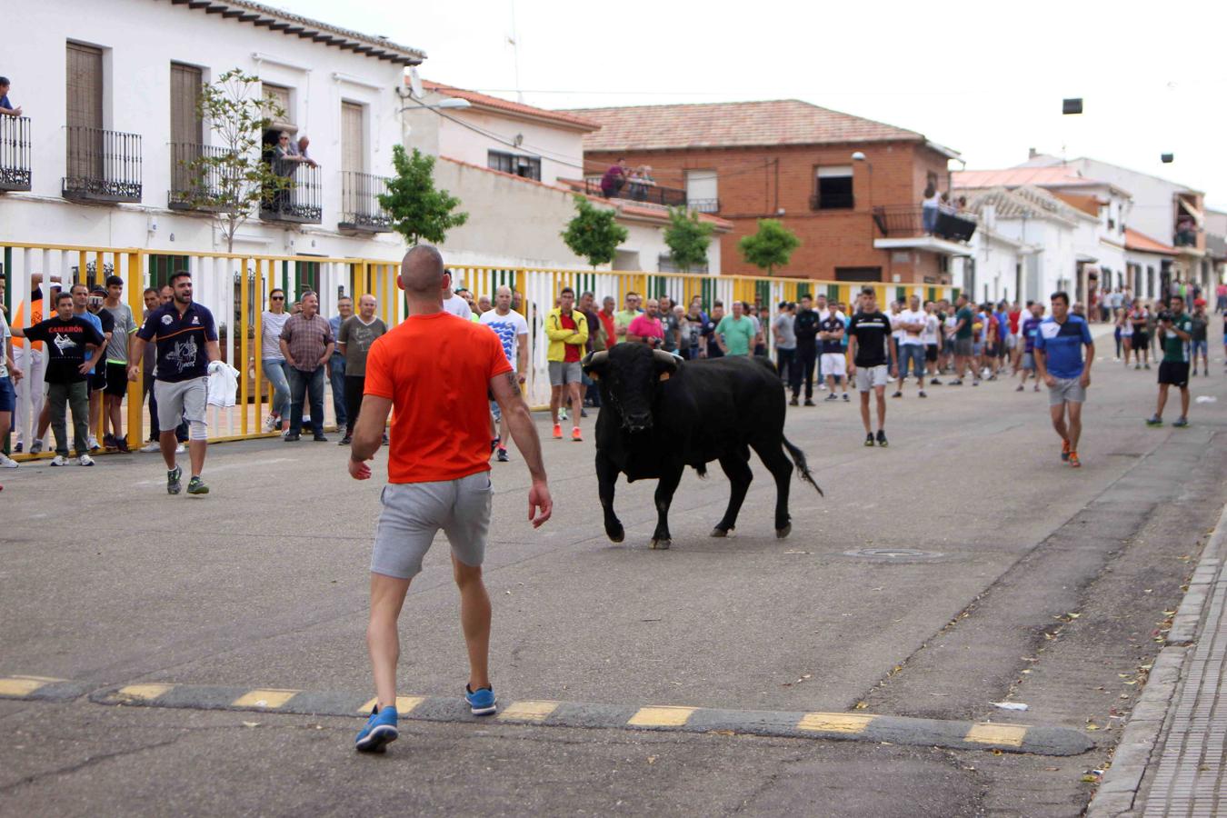 Villaseca de la Sagra se vuelca con el Día de la Tauromaquia