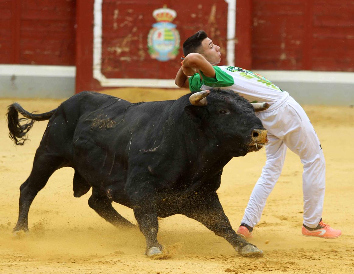 Villaseca de la Sagra se vuelca con el Día de la Tauromaquia