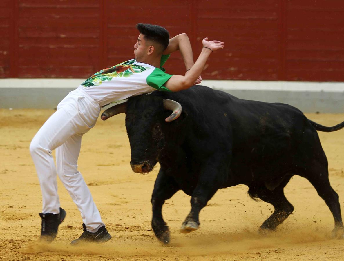 Villaseca de la Sagra se vuelca con el Día de la Tauromaquia