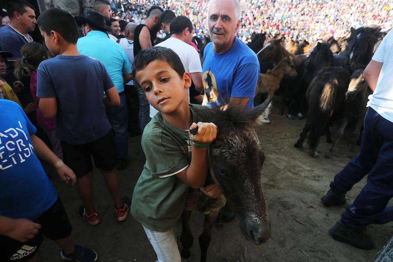 Las fotografías más impactantes de la Rapa das Bestas 2018