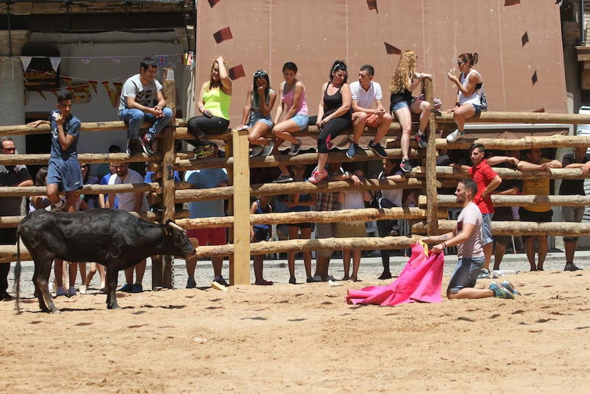Llegan las vaquillas a La Puebla de Montalbán