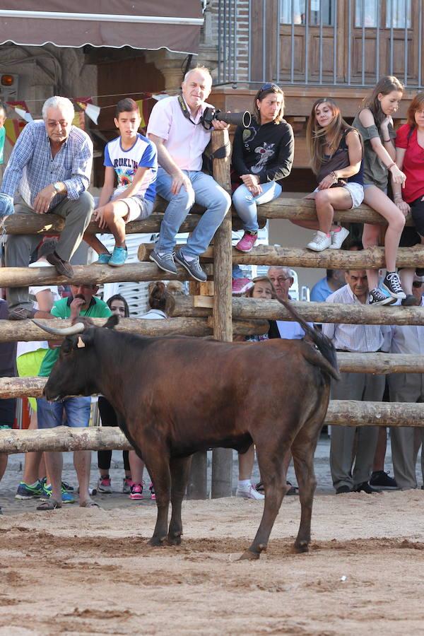 Llegan las vaquillas a La Puebla de Montalbán