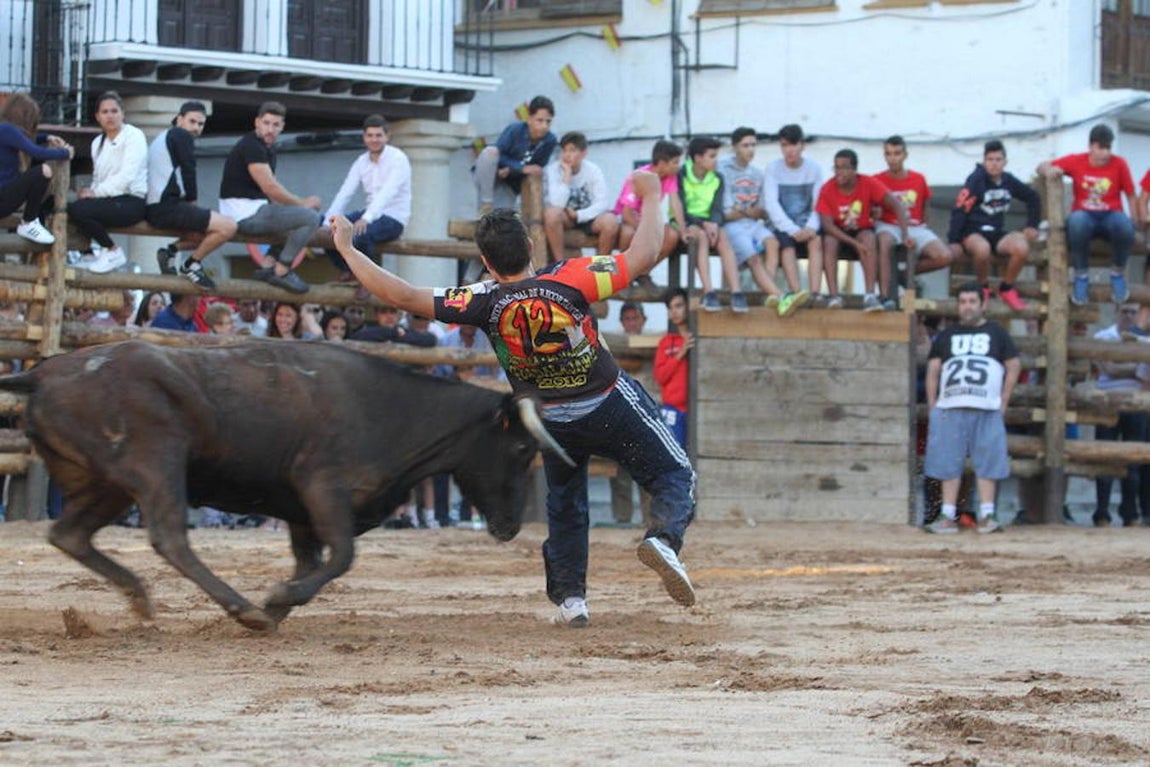 Llegan las vaquillas a La Puebla de Montalbán