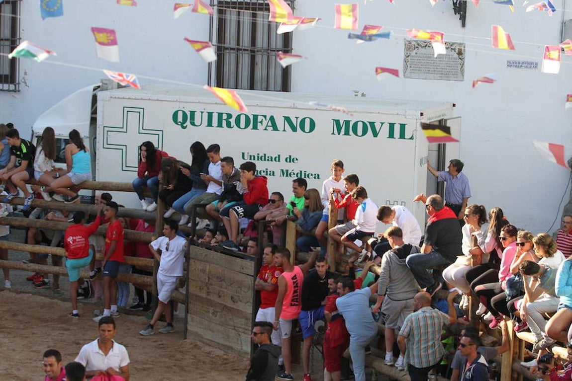 Llegan las vaquillas a La Puebla de Montalbán