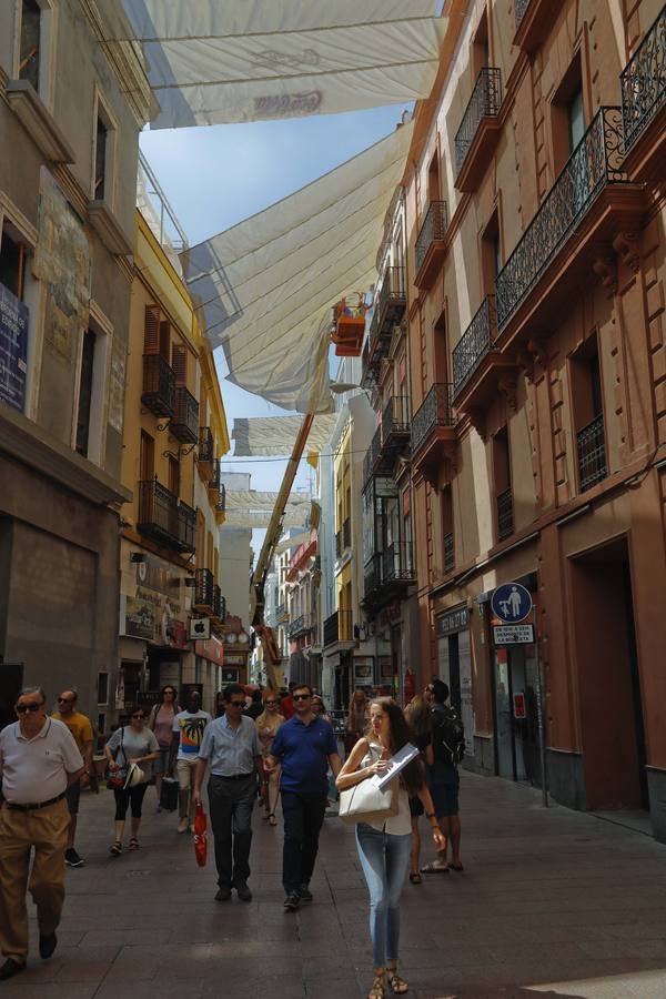 Colocación de toldos en el Centro de Sevilla por el calor