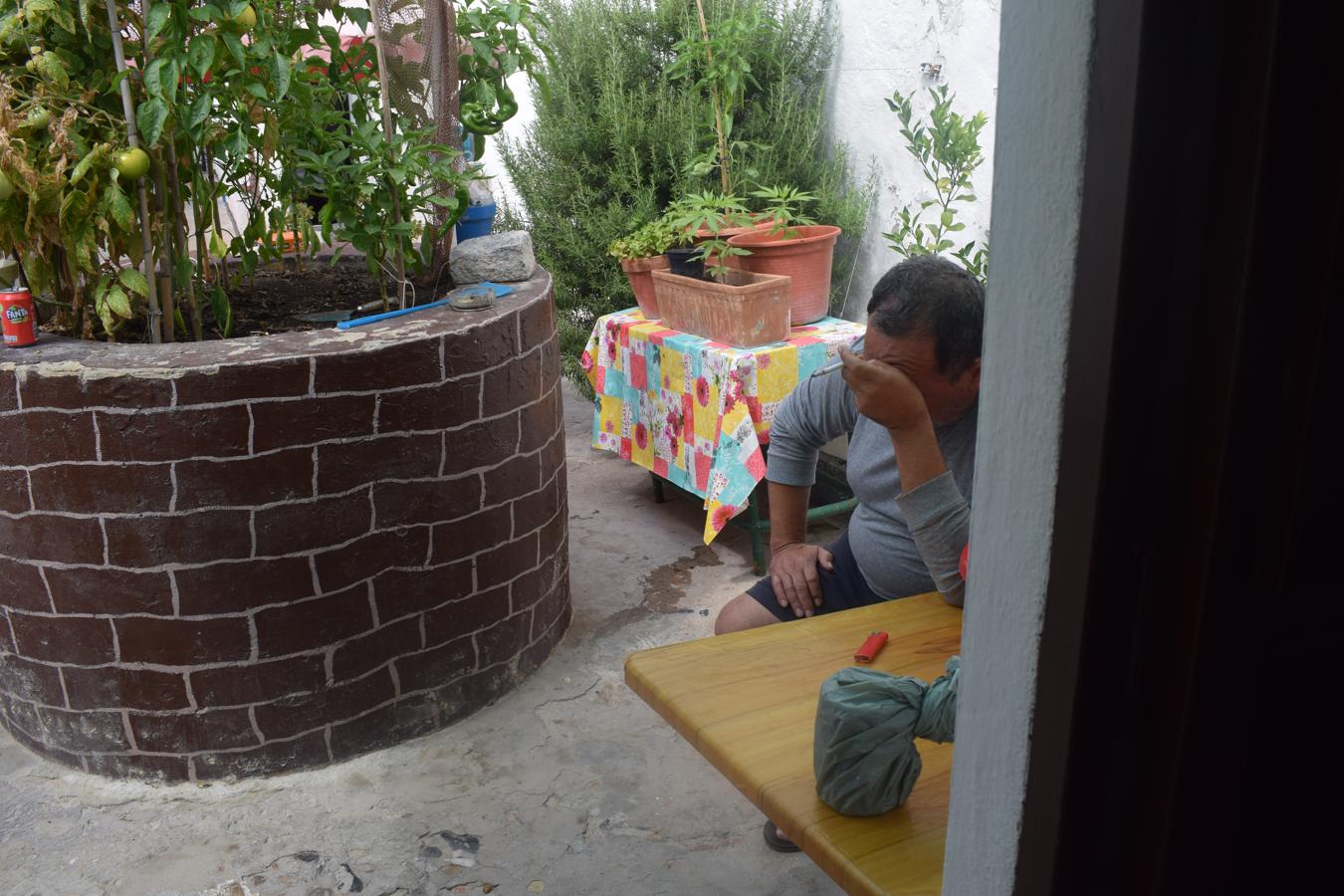 Desmantelada una plantación de marihuana en pleno centro de El Puerto