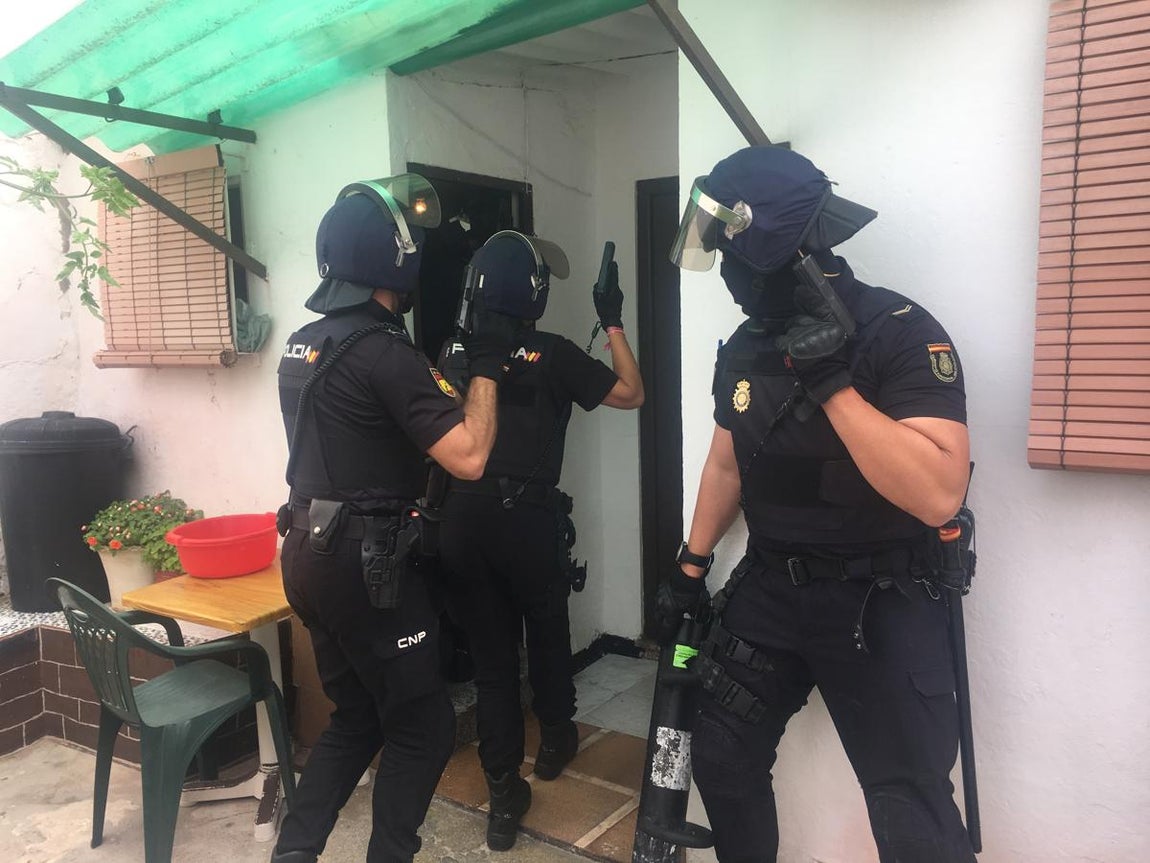 Desmantelada una plantación de marihuana en pleno centro de El Puerto