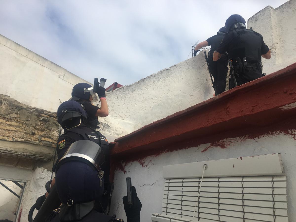 Desmantelada una plantación de marihuana en pleno centro de El Puerto