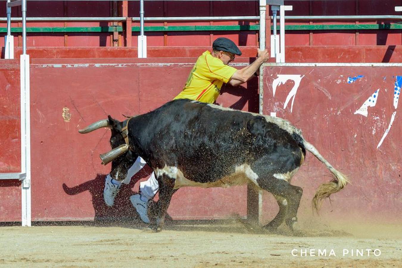 Yuncler se vuelca con su encierro taurino