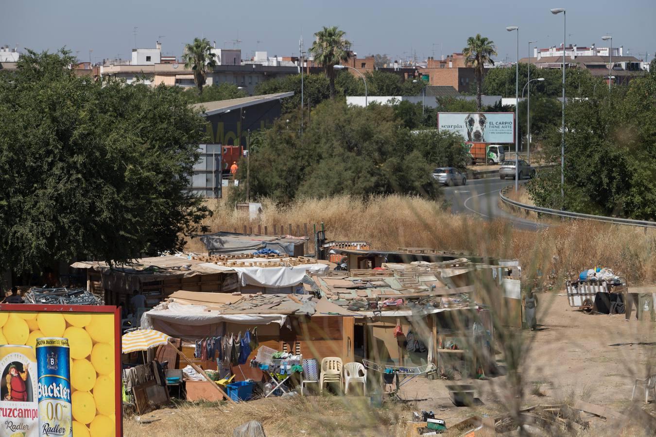 El asentamiento de chabolas en el camino Carbonel, en imágenes