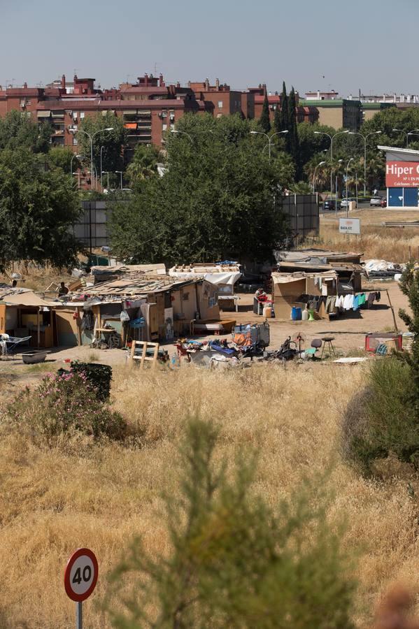 El asentamiento de chabolas en el camino Carbonel, en imágenes