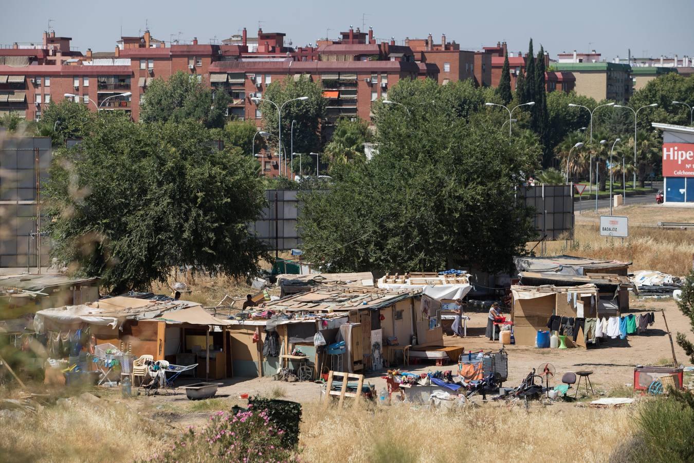 El asentamiento de chabolas en el camino Carbonel, en imágenes