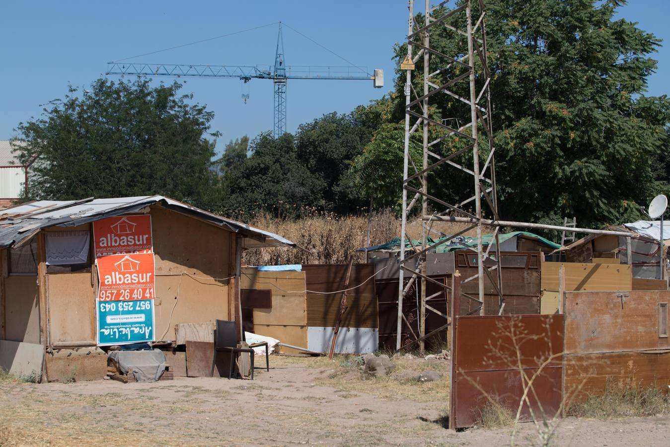 El asentamiento de chabolas en el camino Carbonel, en imágenes