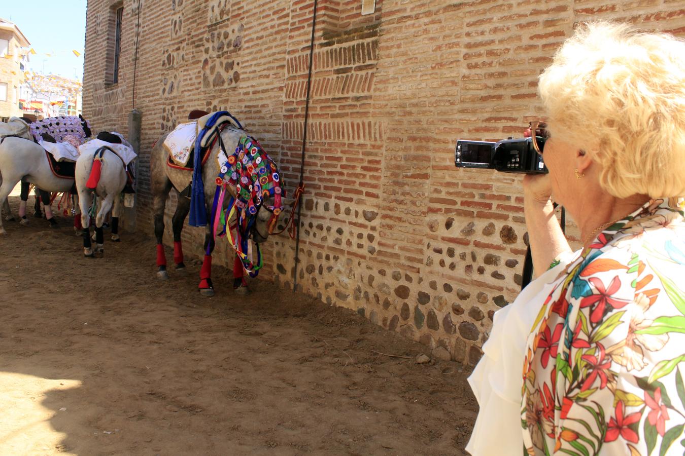 Las imágenes de las carreras de caballos enjaezados de Carpio de Tajo