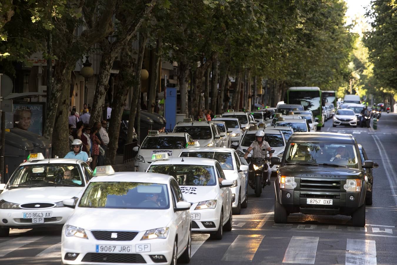 La marcha de los taxistas por Córdoba, en imágenes